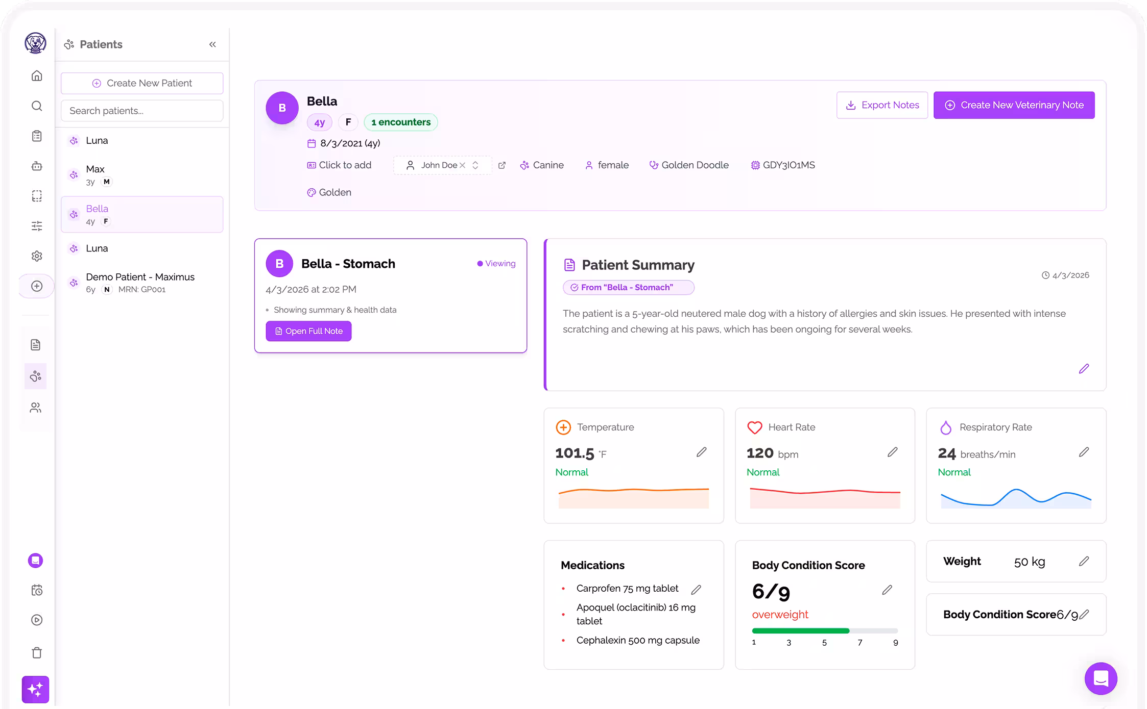 Comprehensive patient dashboard showing medical history and notes